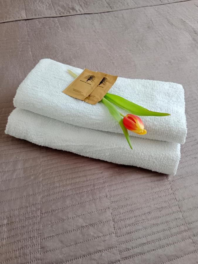Apartament Glamour Chełm מראה חיצוני תמונה